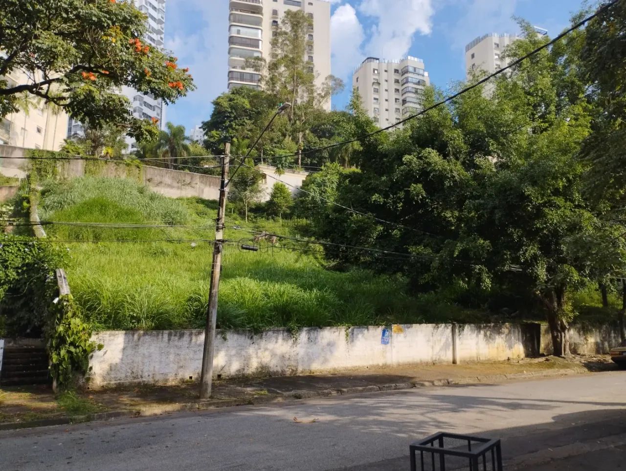 Terreno - Paineiras do Morumbi - 888m². - Foto 2