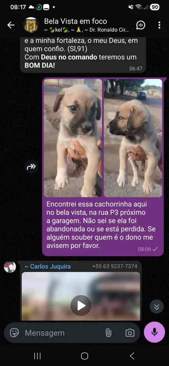 Cachorra  - Foto 4