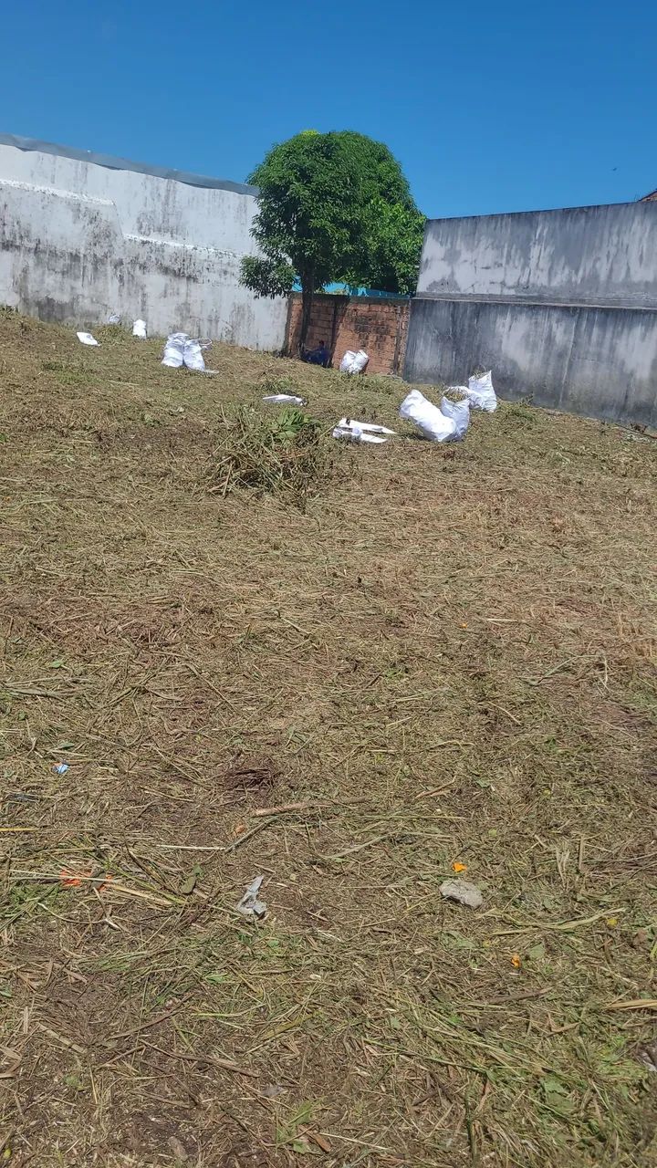 Limpeza de terrenos  - Foto 3