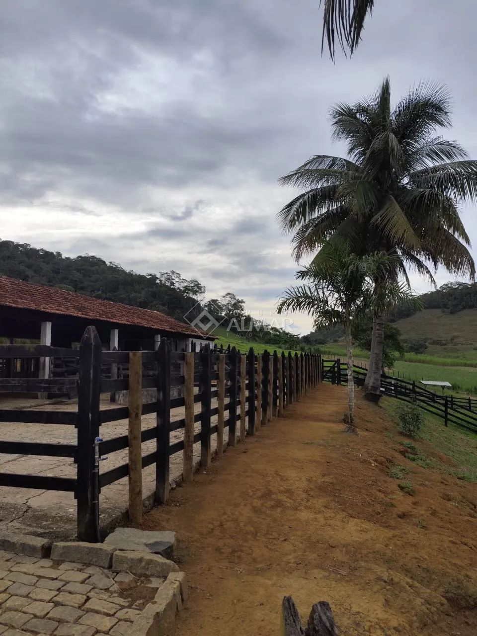 Chácara / Sítio / Granja 8 quartos - Tebas - Foto 4