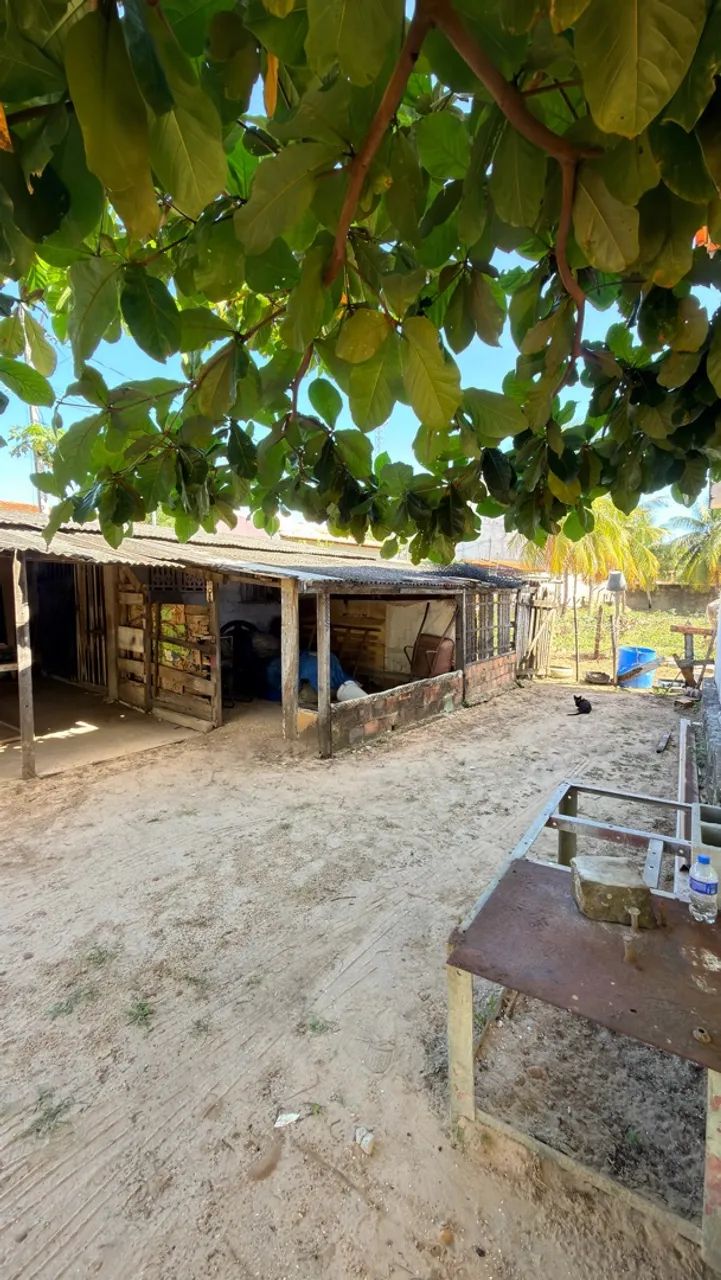 Vendo chácara em povoado Areia Branca, Mosqueiro  - Foto 4