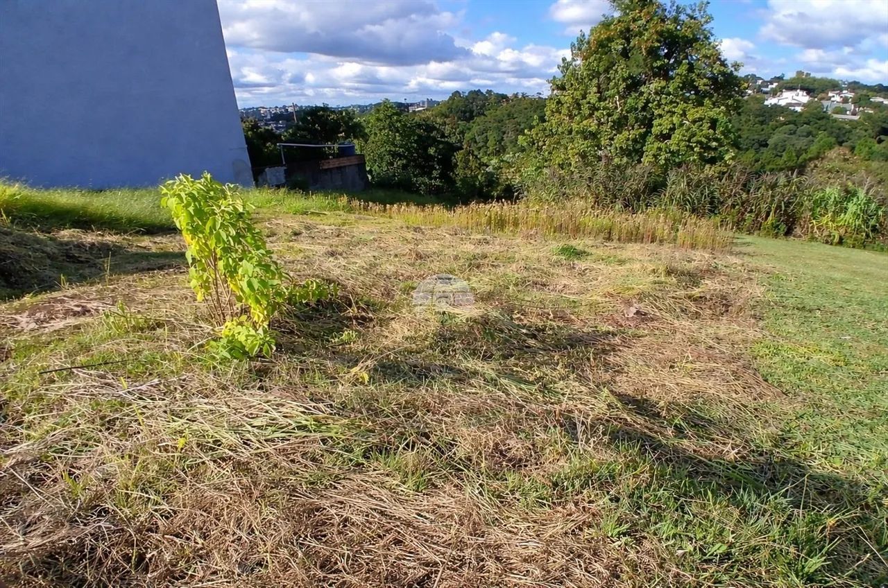 Vendas Terreno Pato Branco PR - Foto 4