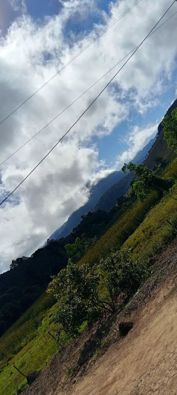 Capina e roçagem de lote - Foto 2