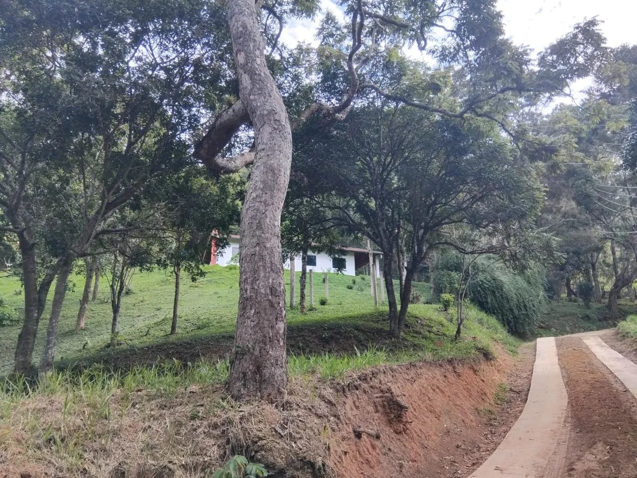 Chácara a venda. - Foto 4