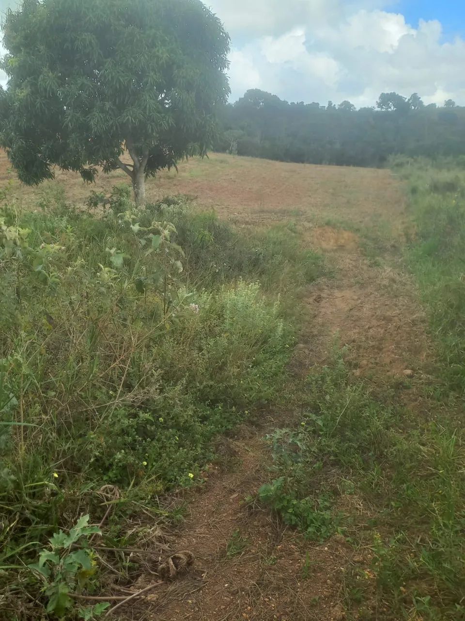 Terreno em salgado  - Foto 2