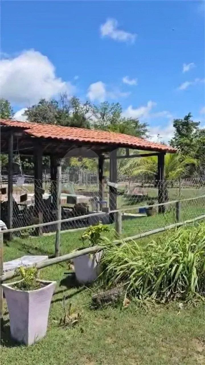 Sítio com 4 quartos à venda em Ipioca - AL - Foto 4