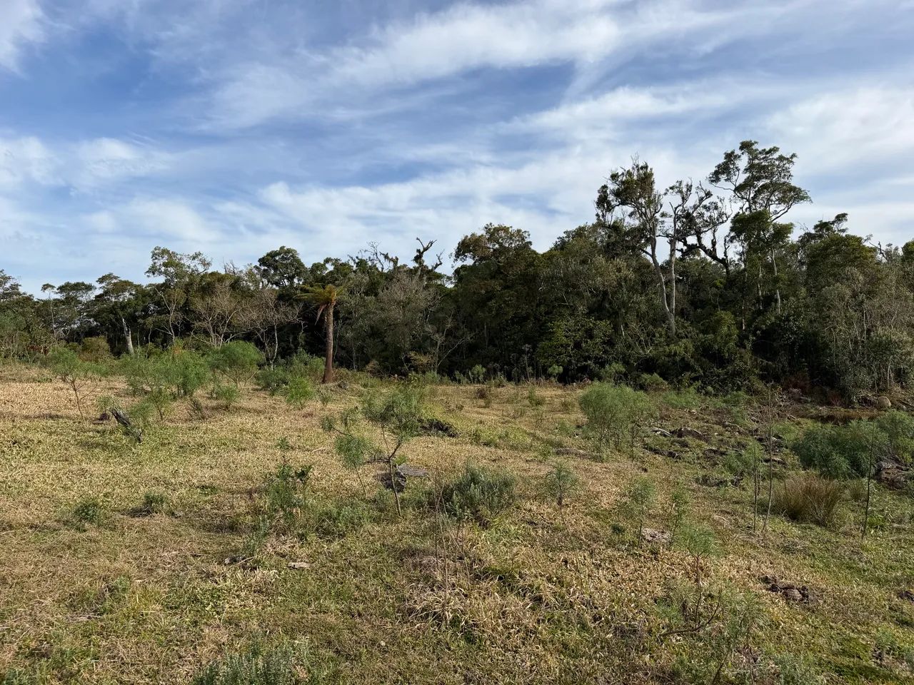 ANITÁPOLIS/SC - Um imóvel único na Serra Catarinense  - Foto 2