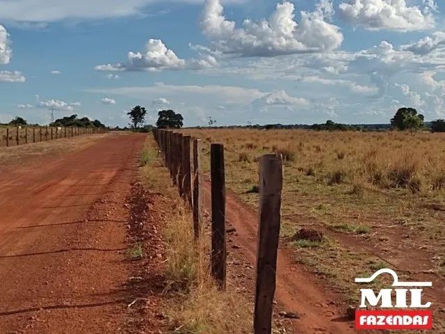 Arrendamento Agrícola em Nova Crixas-GO (726 Há) - Foto 2