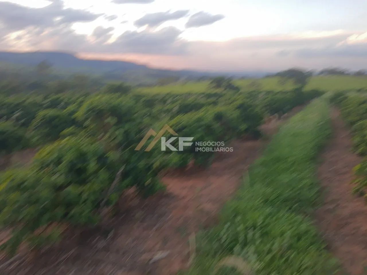 Sítio com Lavoura de café em Cassia/MG - Foto 5