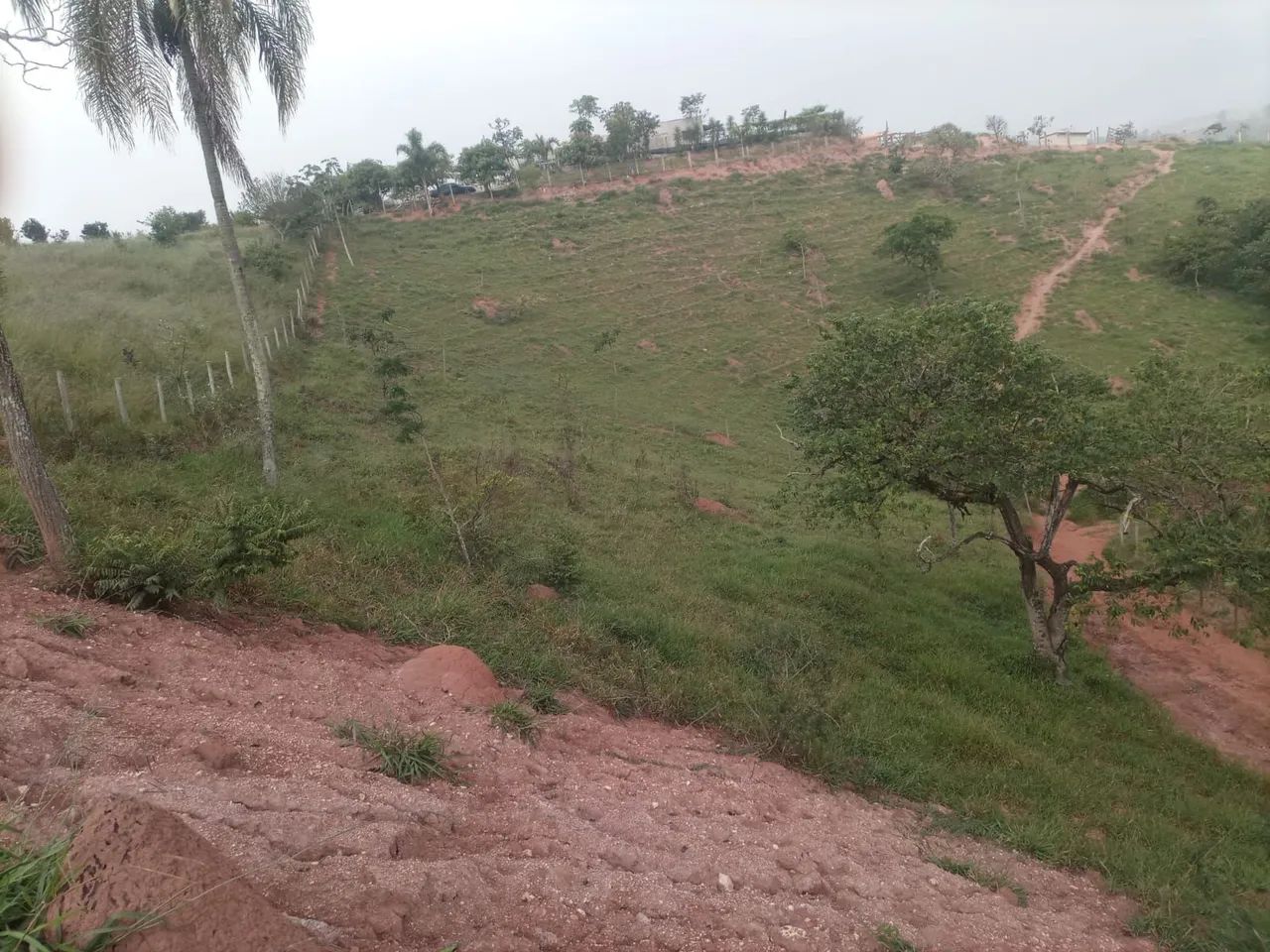 Vende se chácara 1000 m2 - Foto 3