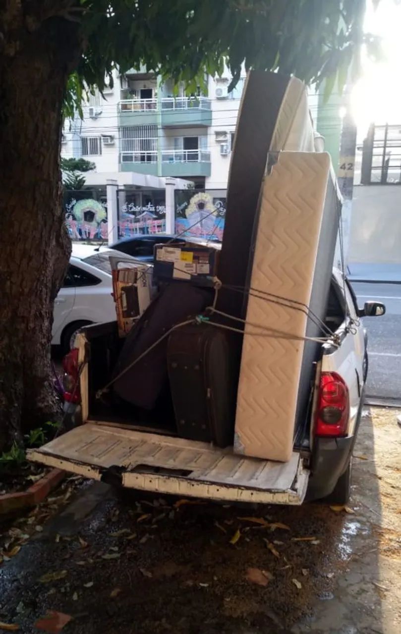 Transporte 