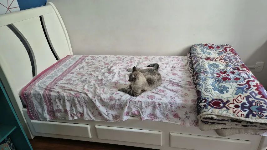 Cama de solteiro de madeira laqueada em branco - Foto 2