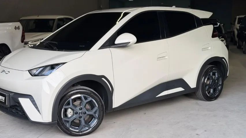 BYD Dolphin Mini GL 2026 - Foto 2