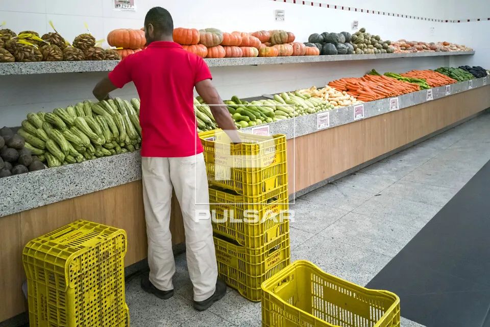 Repositor de Hortifruti Noturno