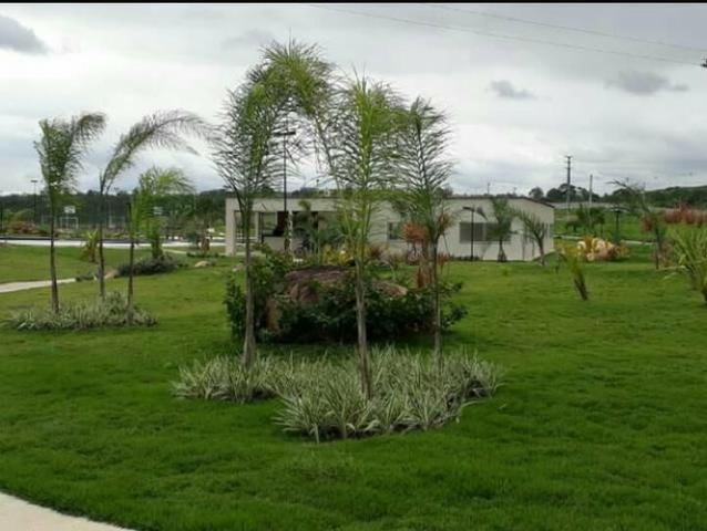 Oportunidade Passo Lote nascente R$65.000,00 Facilito entrada Jardimdas Tulipas - Foto 9