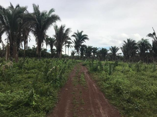 Grande oportunidade!!! 308 hectares de Terras em Miranda do Norte