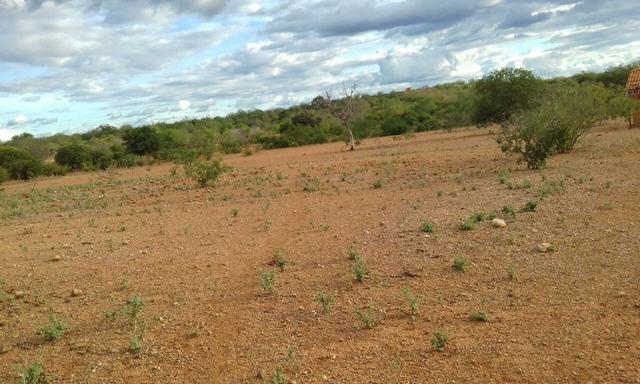 Exploração de Minério , terreno para plantação e criação de gado - Foto 10