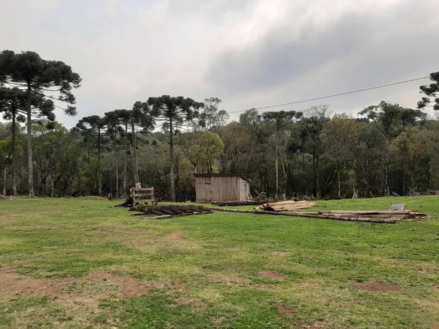 Fazenda de 100 Alqueires. 70 de capoeira - 16 km da Colônia Vitória. Guarapuava PR - Foto 2