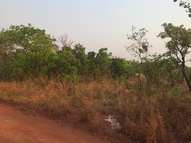 Terreno