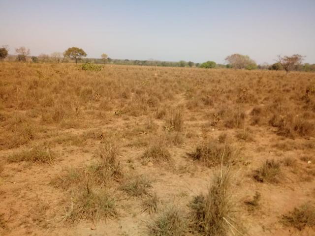 Fazenda a mais linda da região apenas 53 km de Cuiabá - Foto 12