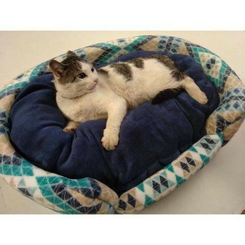 Caminha De Manta Em Microfibra Para Cães E Gatos Estampas Sortidas