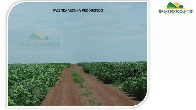 1.350 há (278 Alq) 1.000 há (206 alq) formados em pastagens. Planta-se Soja em toda área - Foto 3
