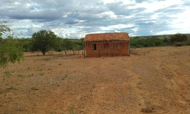 Exploração de Minério , terreno para plantação e criação de gado - Foto 16