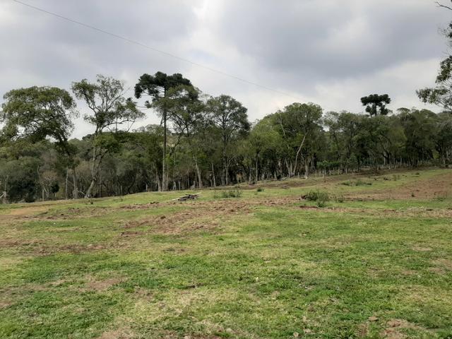 Fazenda de 100 Alqueires. 70 de capoeira - 16 km da Colônia Vitória. Guarapuava PR - Foto 5