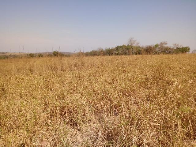Fazenda a mais linda da região apenas 53 km de Cuiabá - Foto 13