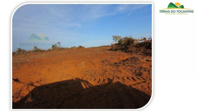 1.350 há (278 Alq) 1.000 há (206 alq) formados em pastagens. Planta-se Soja em toda área - Foto 4