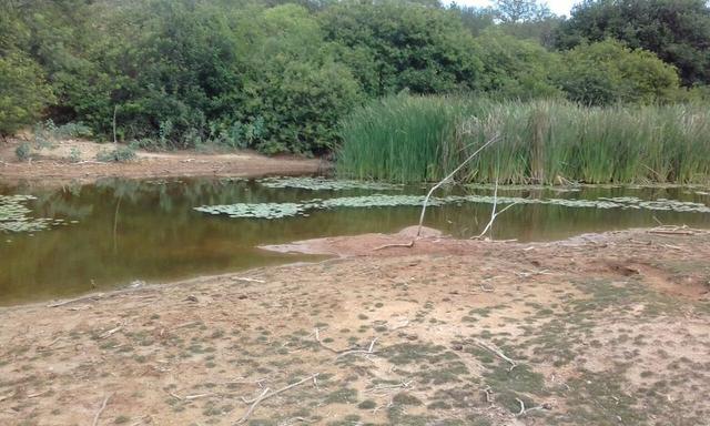 Exploração de Minério , terreno para plantação e criação de gado - Foto 17