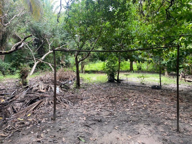 Sitio na avenida principal do timbuba, 25 x 100 , casa simples rua asfaltada