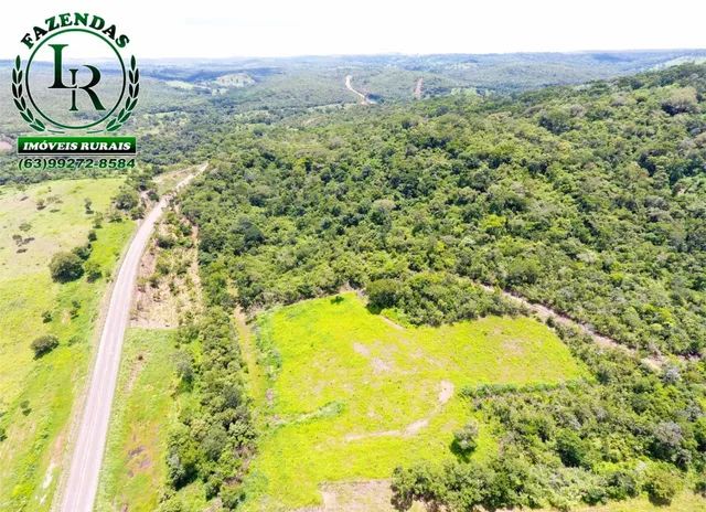 Fazenda 61 Alqueires Pecuária Próximo a Palmas - Foto 3