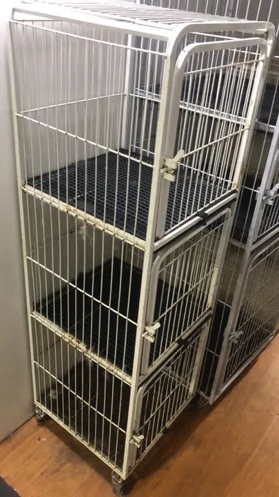 Vendo canil 