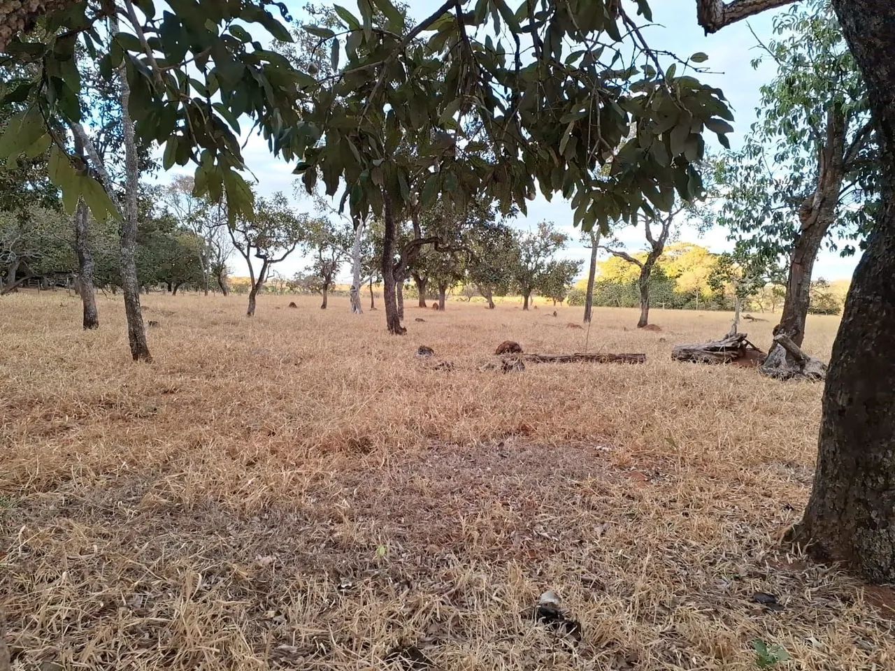 Chácara 2,5 km de Bela Vista de Goiás.  - Foto 6