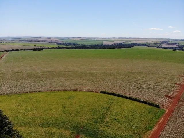 Fazenda 248 alqueiro 190 planta  - Foto 5