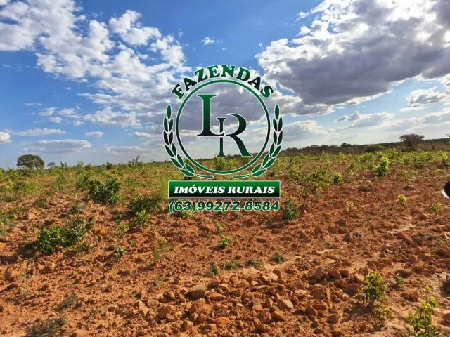 Fazenda de 416 Alqueires Plana
