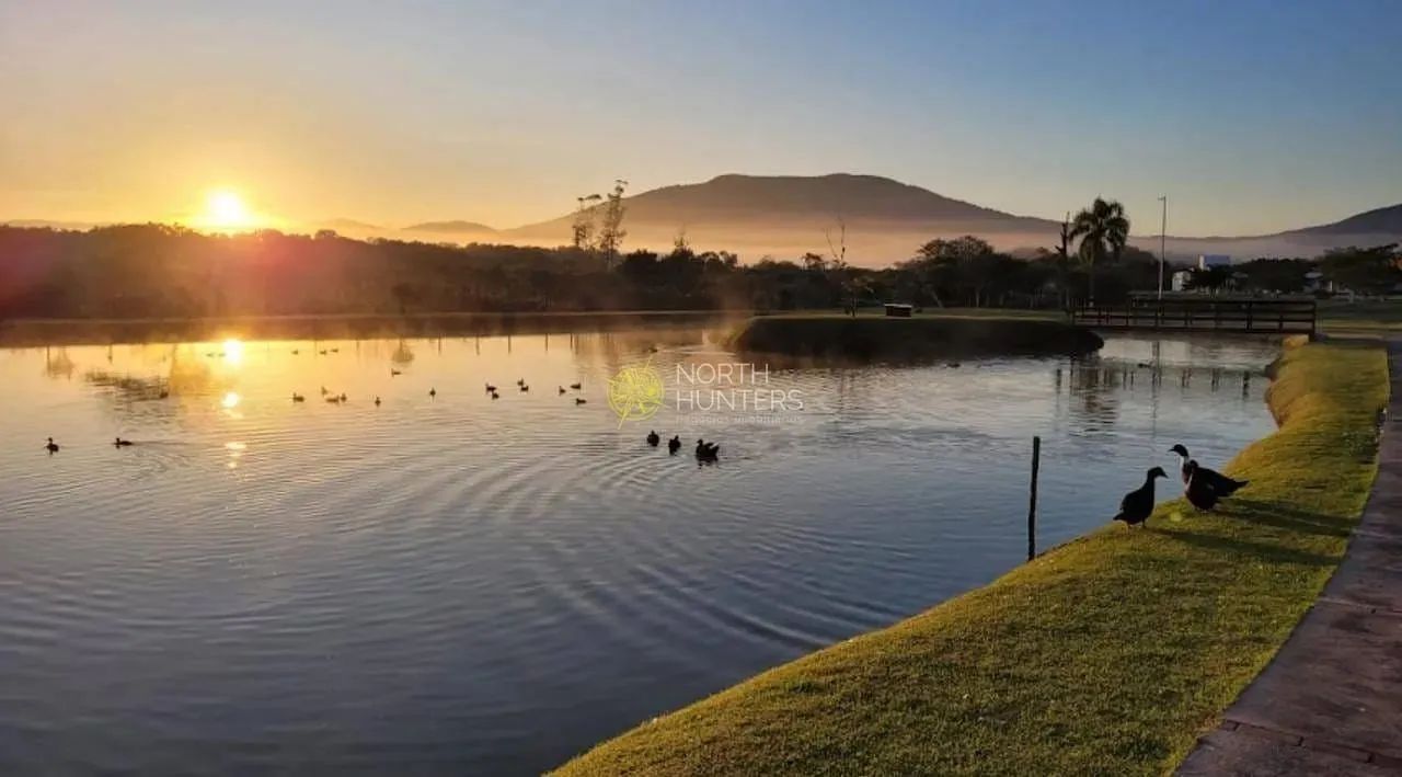Terreno à venda, Ratones, Florianópolis, SC - Foto 4