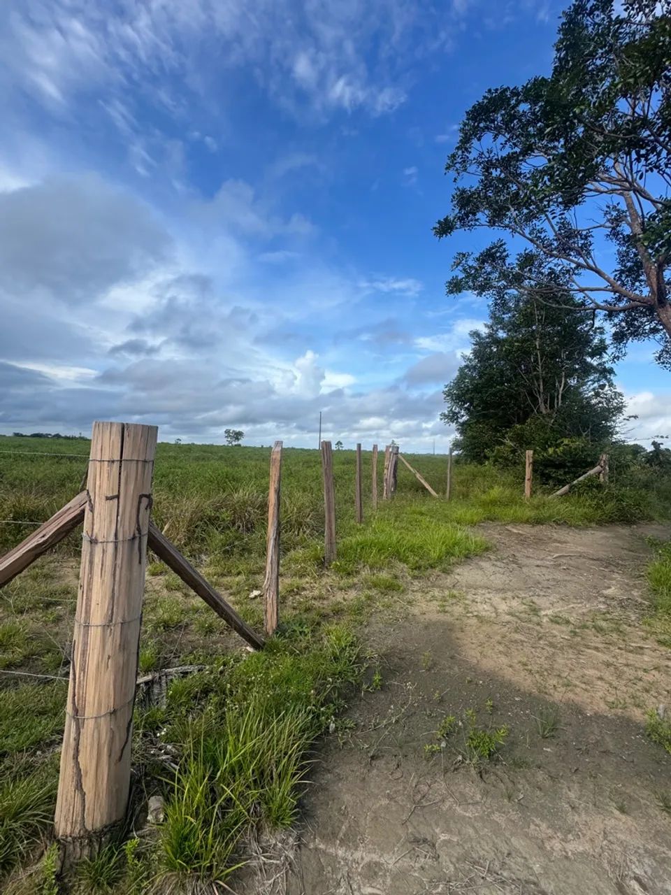 Fazenda à Venda no Porto Grande, Macapá:* - Foto 6