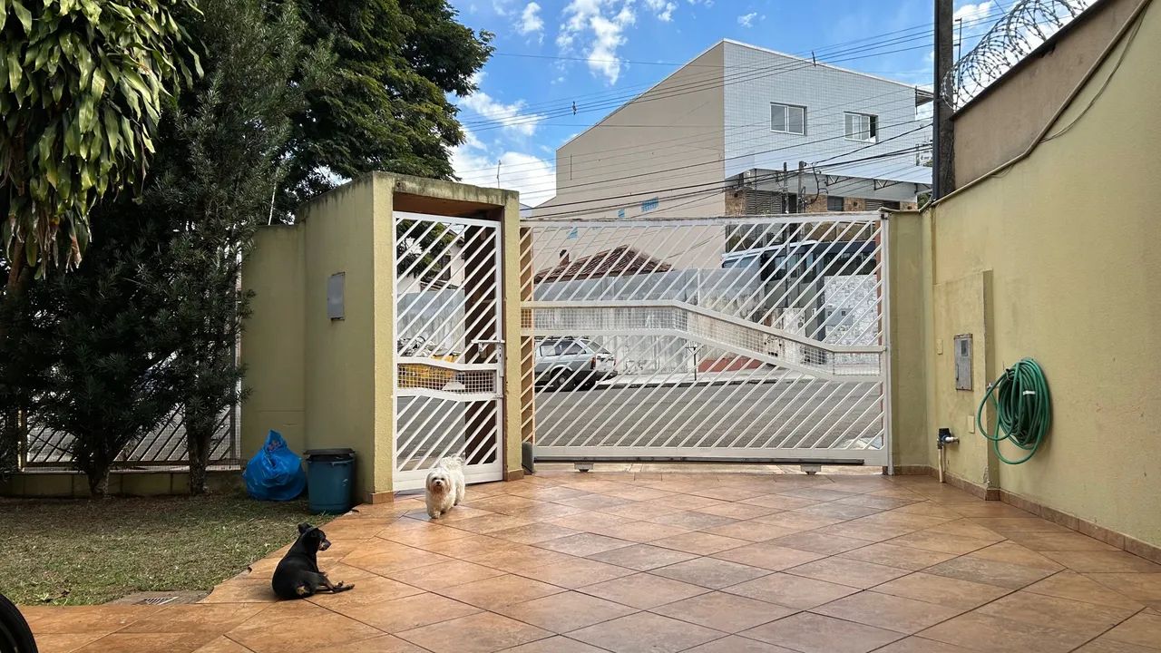 Pet sitter/Babá pet - Foto 2