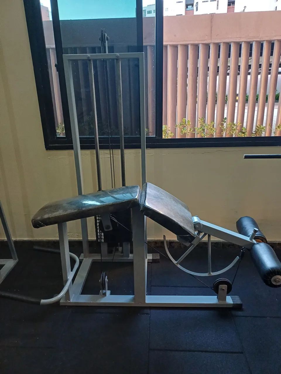 Mesa Flexora