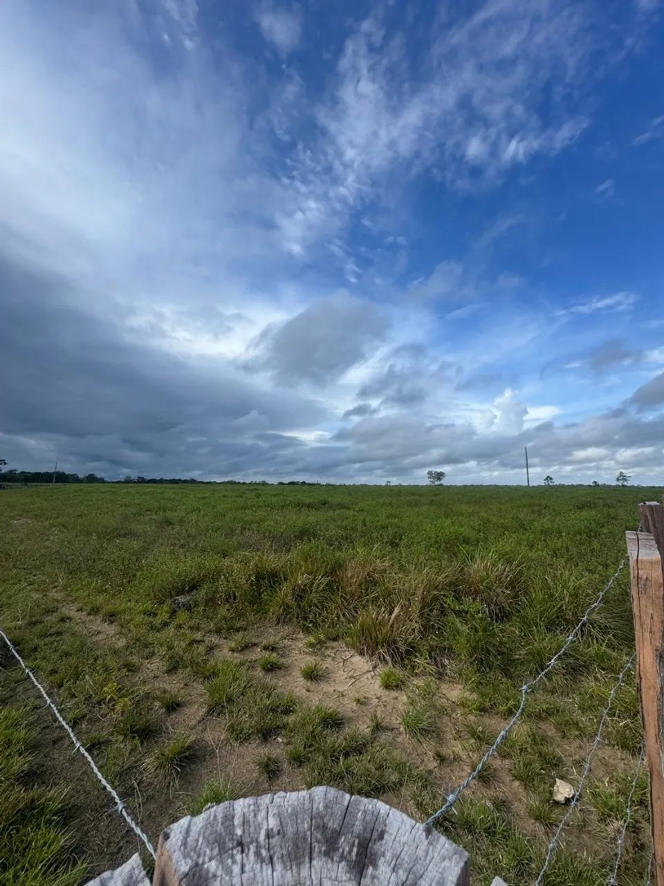 Fazenda à Venda no Porto Grande, Macapá:* - Foto 7