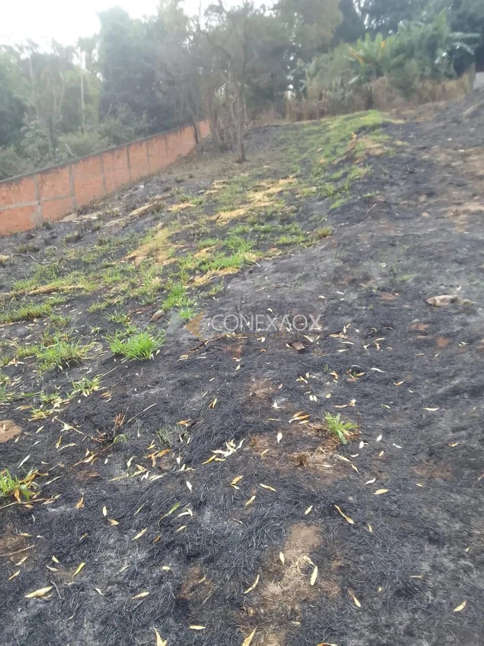terreno - Cidade Satélite Íris - Campinas - Foto 5