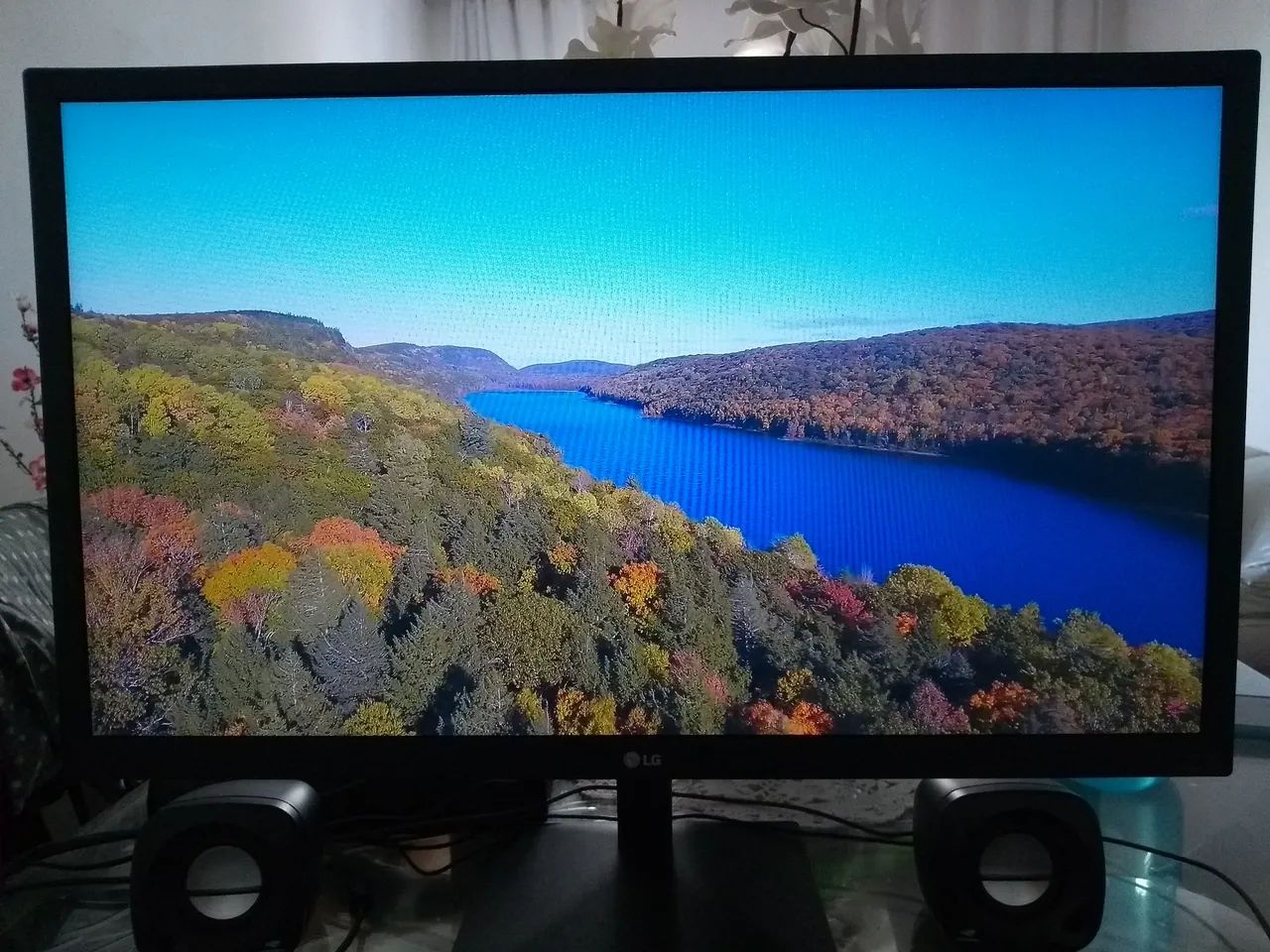Monitor LG 24" LED Full HD IPS, 75Hz
