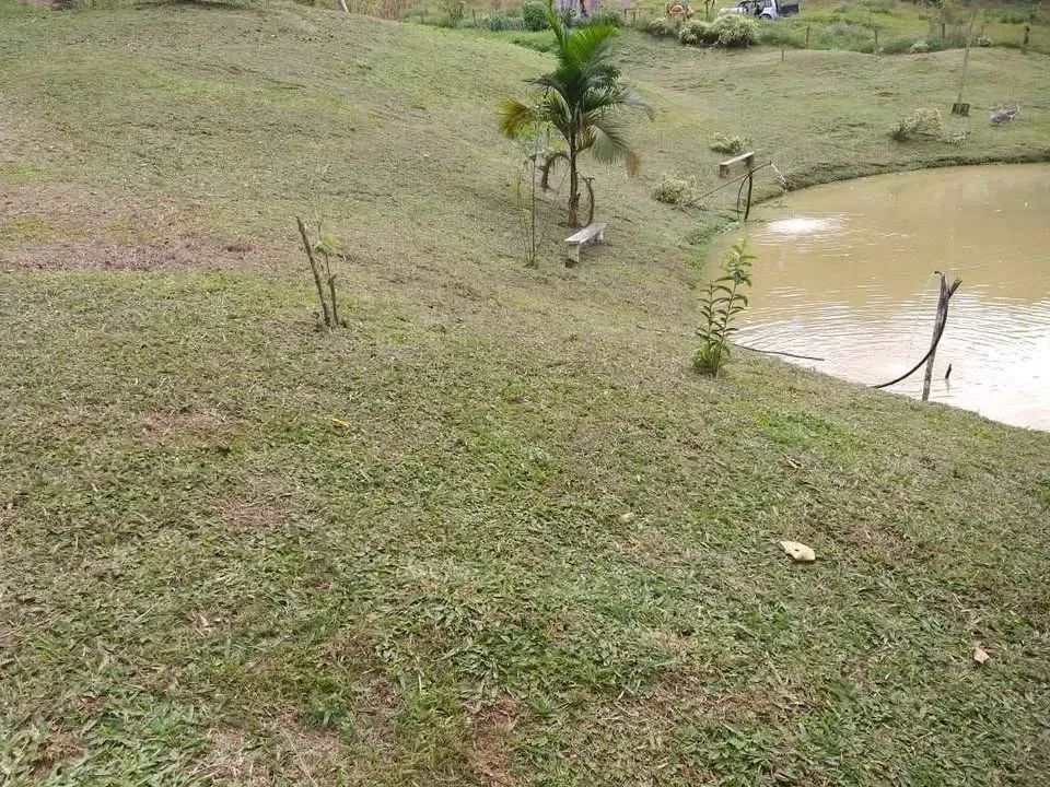 Lindo sítio de 5 hectares sendo 100x500 no bairro Espanha, três riacho Biguacu com casa. - Foto 15