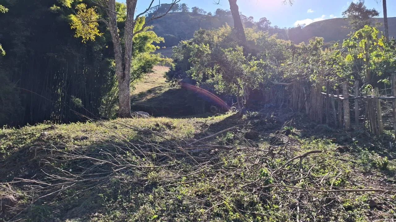 Sitio 4,8 Hectares <br>Itajubá MG  - Foto 5