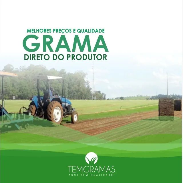 Grama Natural Para Todo Paraná