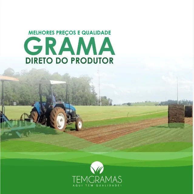 Grama Natural Para Todo Paraná