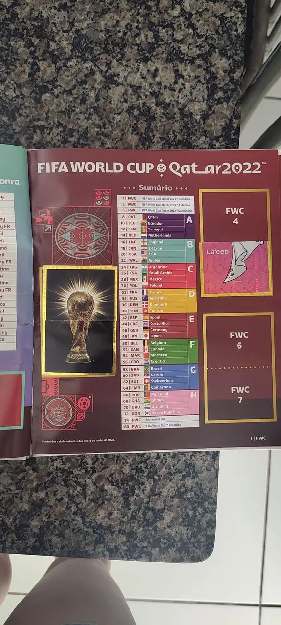 Livro Ilustrado Oficial FIFA World Cup Qatar 2022 - Panini - Foto 3