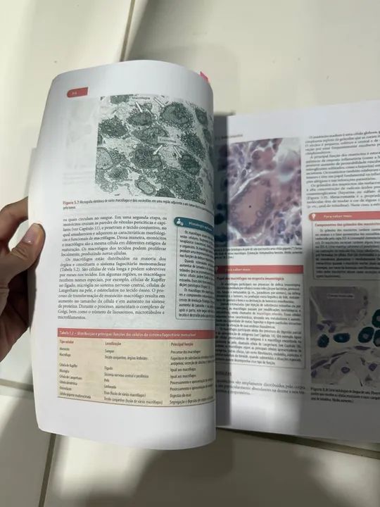 Histologia Básica - 12ª edição - Junqueira & Carneiro - Foto 4